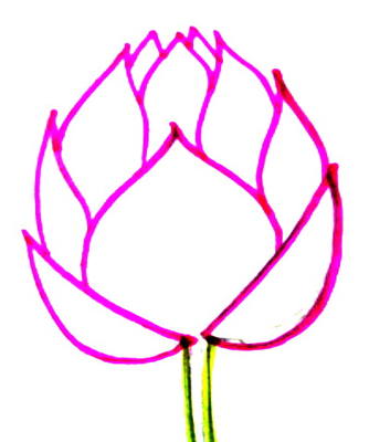 How to draw a Lotus