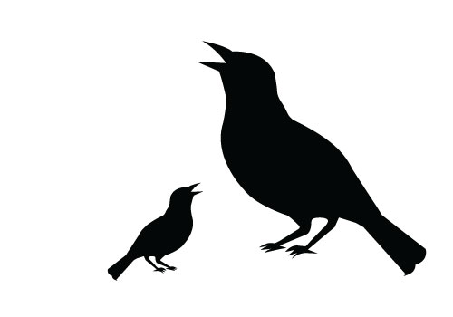 Bird silhouette clip art