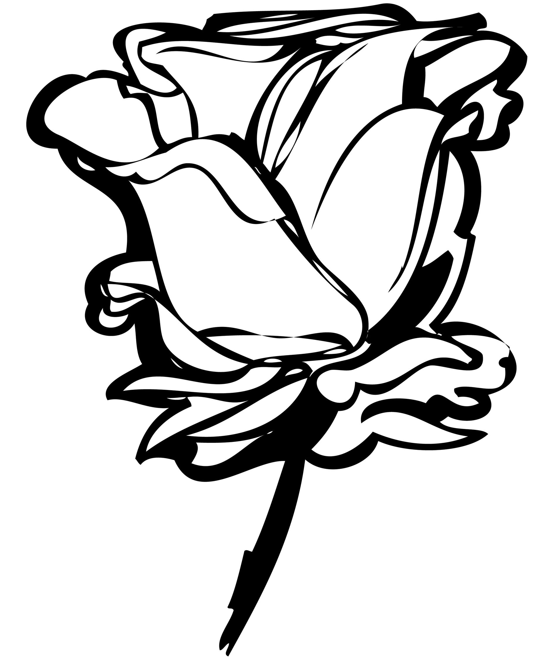 Rose Sketch Black And White - ClipArt Best