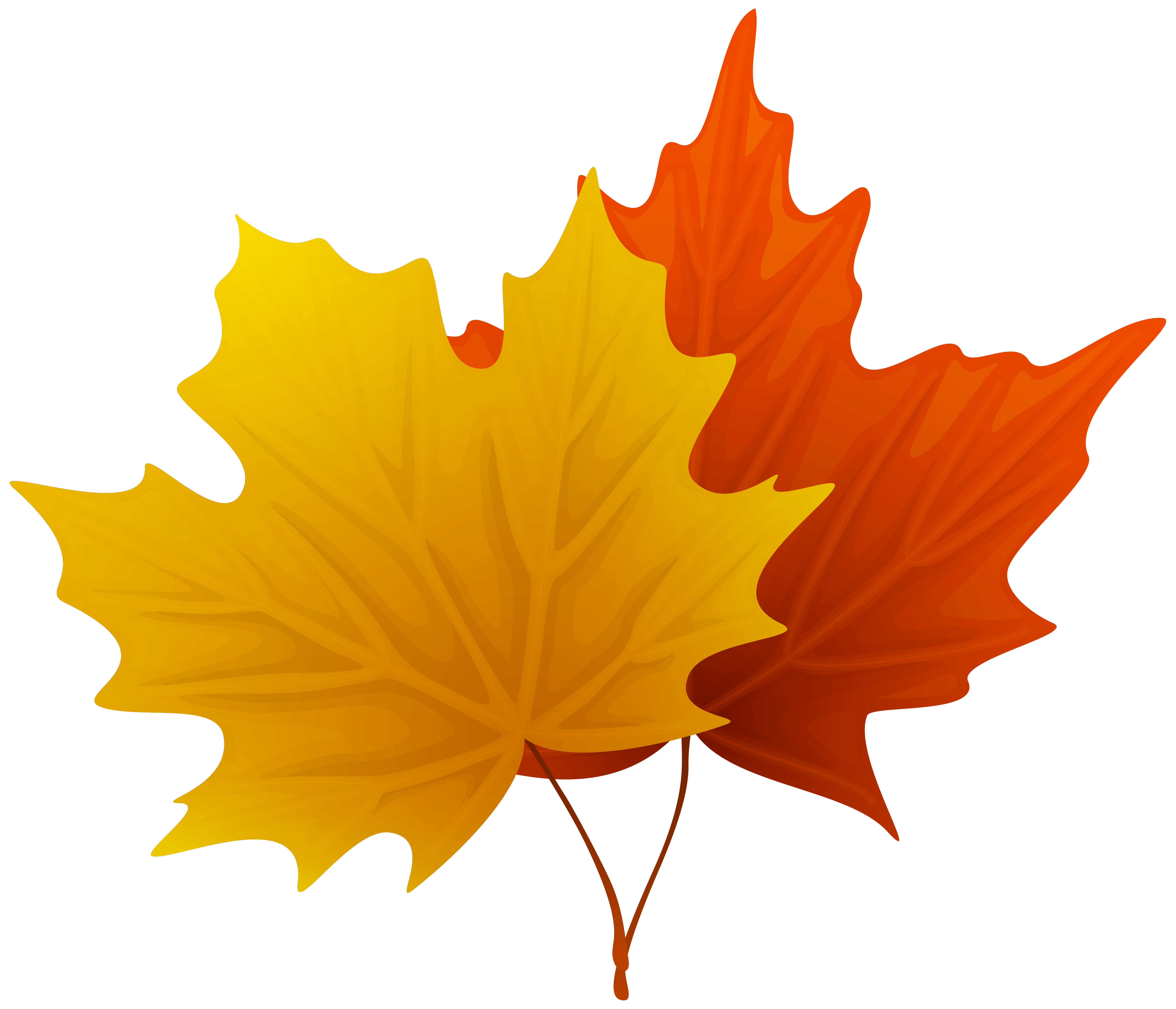Fall Maple Leaf Clip Art – Clipart Free Download