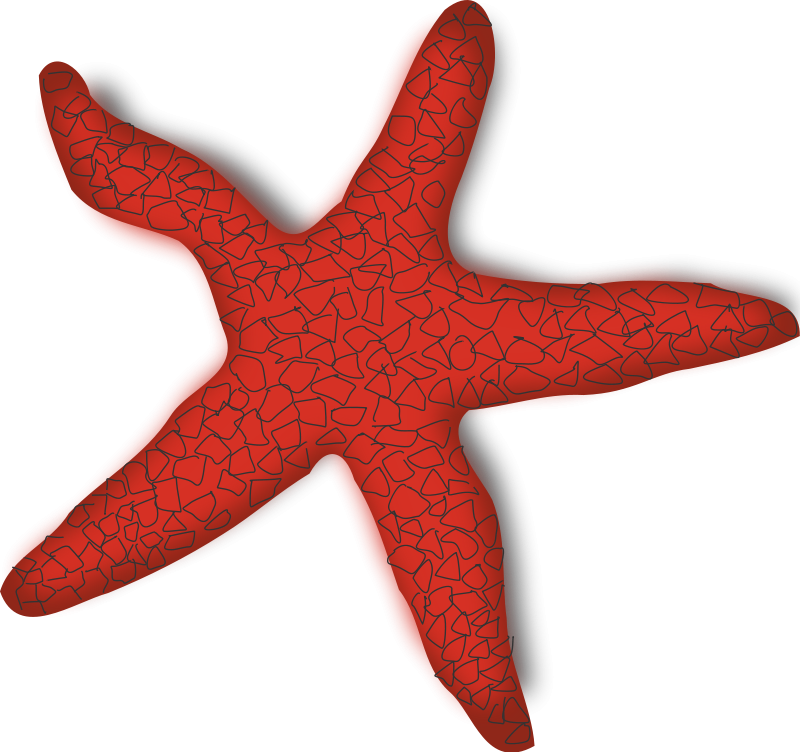 Free Starfish Clipart | Free Download Clip Art | Free Clip Art ...