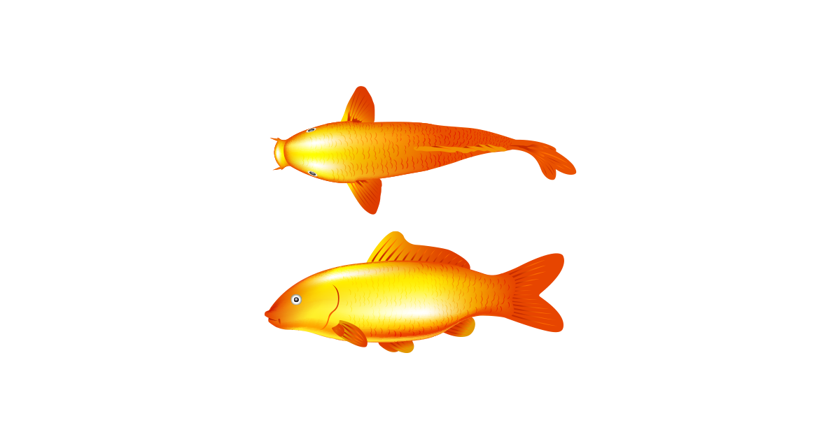 Gold Fish – Free Vector and Transparent PNG | The Graphic Cave