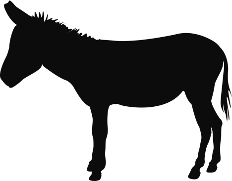 Donkey clipart vector