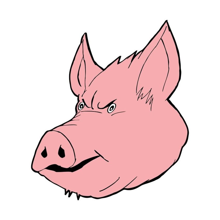 Pig Face Clipart - Free to use Clip Art Resource