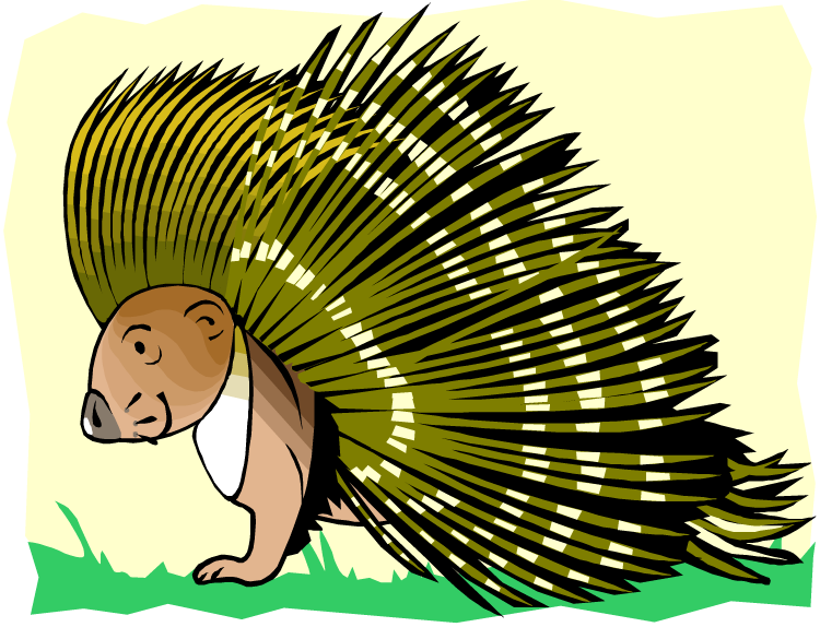 Free Porcupine Clipart