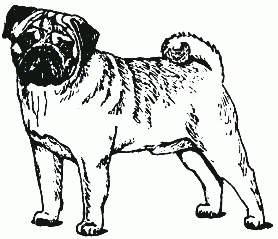 Pug Coloring Pages Printable - AZ Coloring Pages