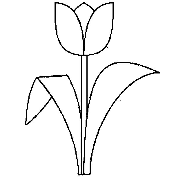 Tulip Coloring Pages - Bestofcoloring.com