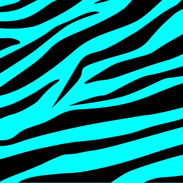 Collection of Blue Zebra Wallpaper on Spyder Wallpapers