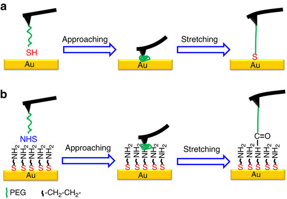 Quantifying thiol–gold interactions towards the efficient strength ...