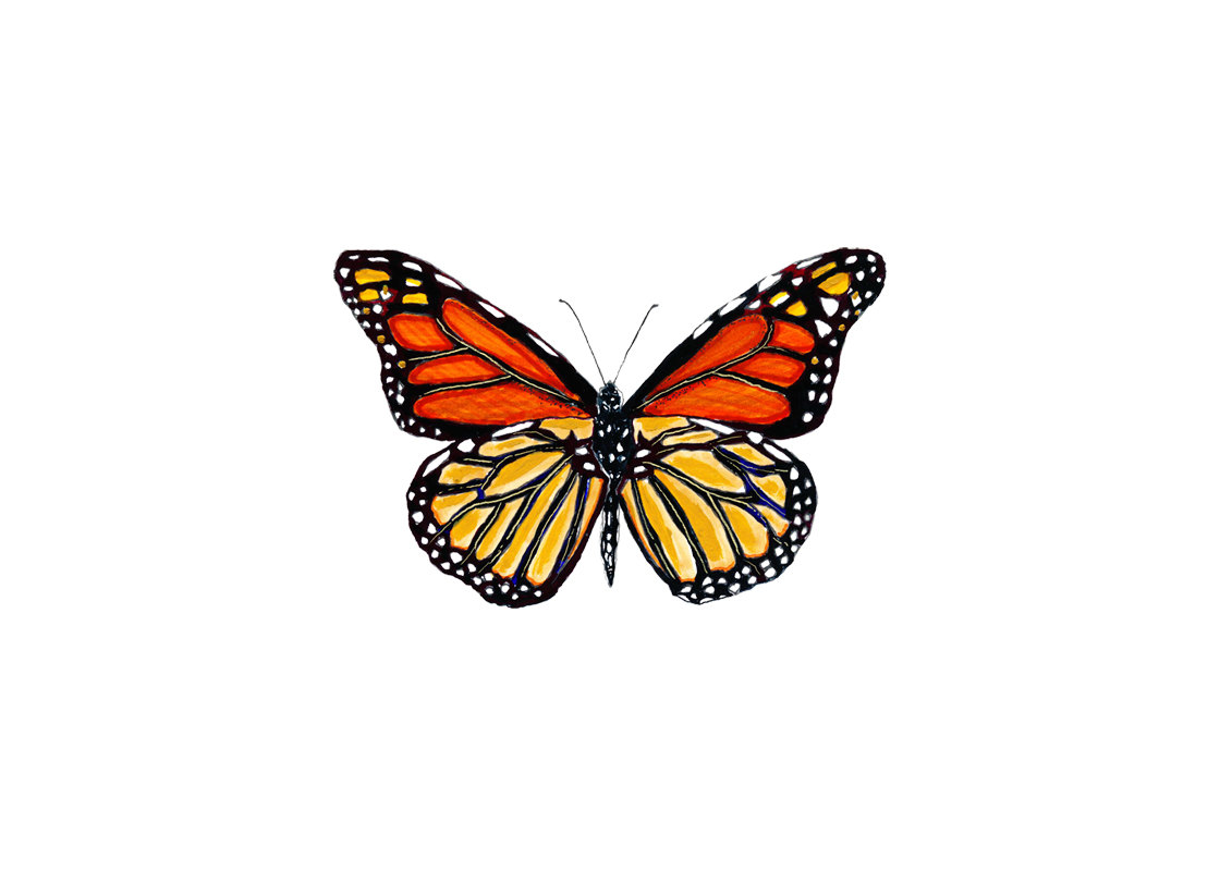 Butterfly on pencil clipart