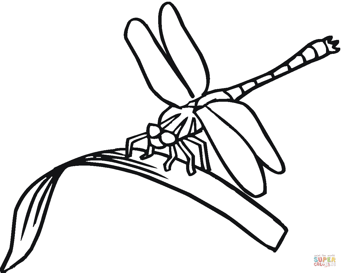 Dragonfly coloring pages | Free Coloring Pages