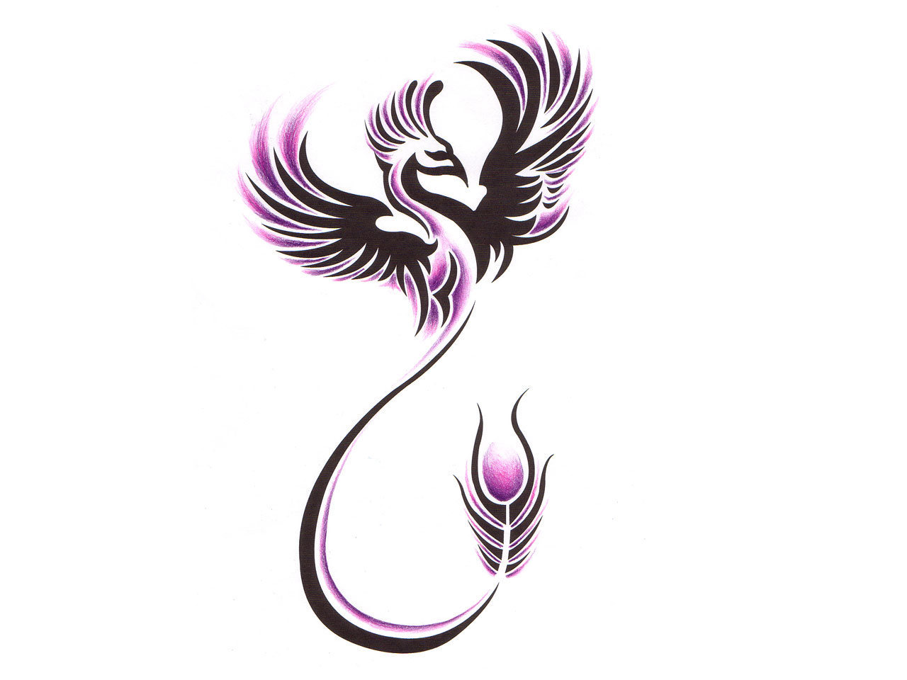 32+ Latest Phoenix Tattoo Designs