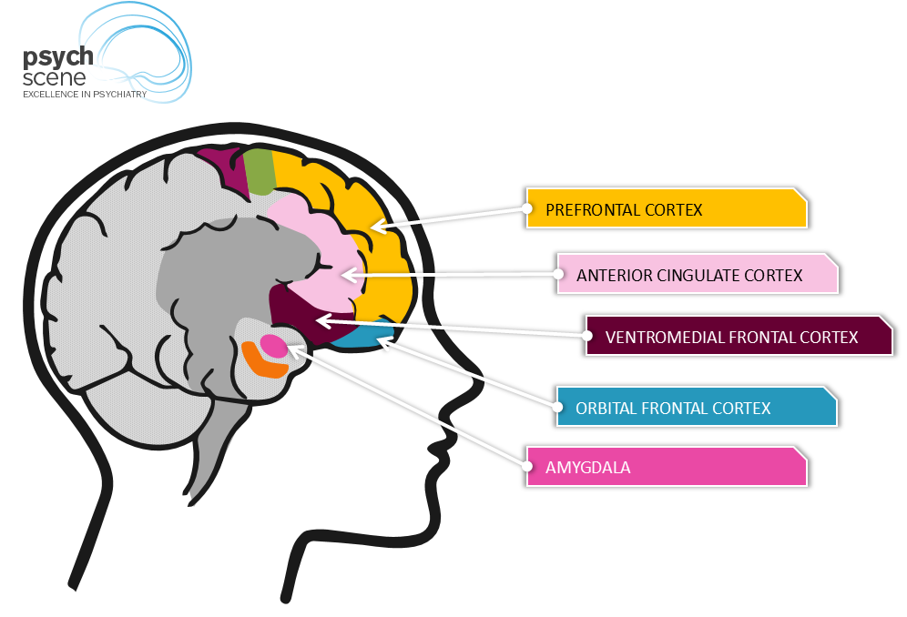 How to Treat Depression and Obsessive Compulsive Disorder?