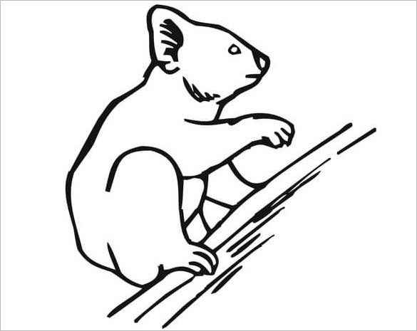 21+ Koala Templates, Crafts & Colouring Pages | Free & Premium ...