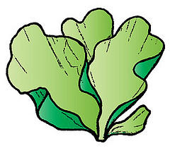 Cartoon Seaweed - ClipArt Best - Free Clipart Images