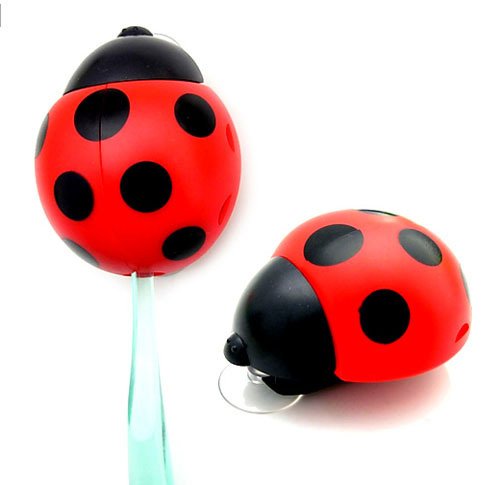 Colorations Ladybug Promotion-Shop for Promotional Colorations ...