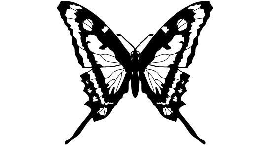 Butterfly Graphic - ClipArt Best