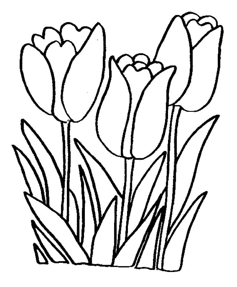 Flowers Coloring Pages - Coloringpages1001.