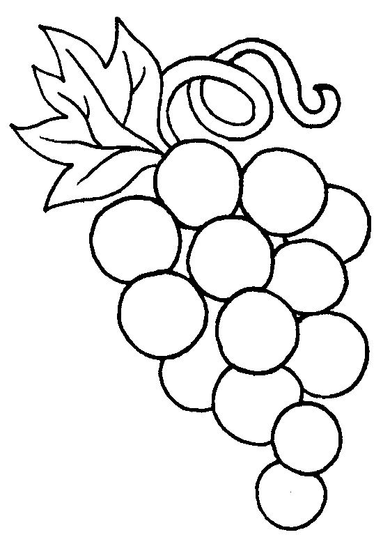 Line Drawing Of Grapes - ClipArt Best