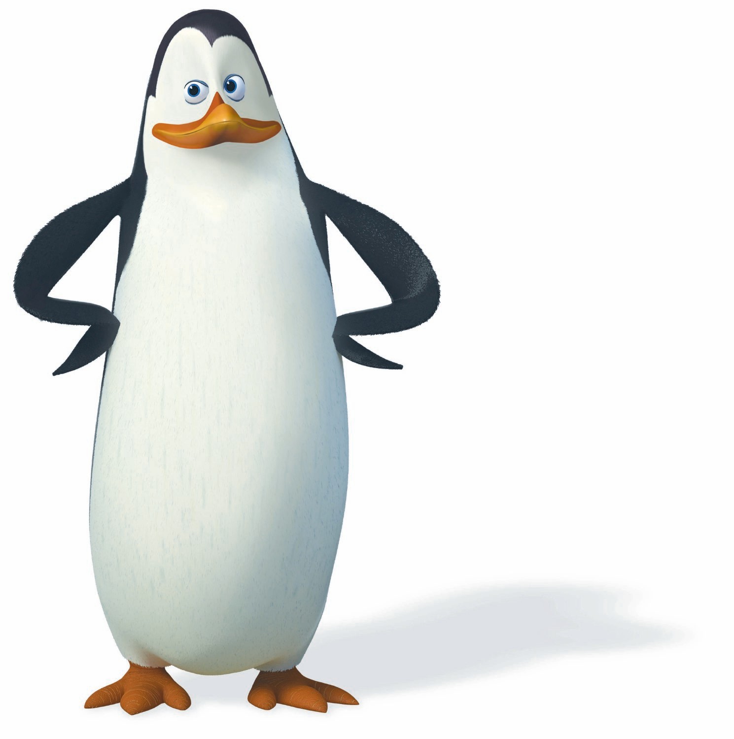 penguin of madagascar cartoon