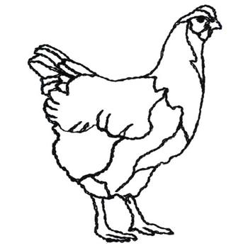 Hen Outline - Quoteko.