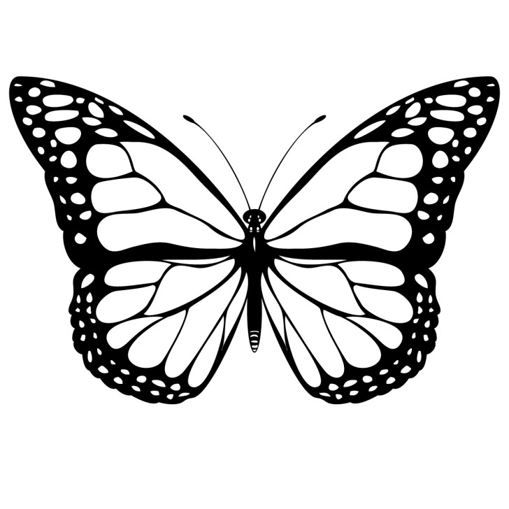 Butterfly images clip art free - ClipartFox