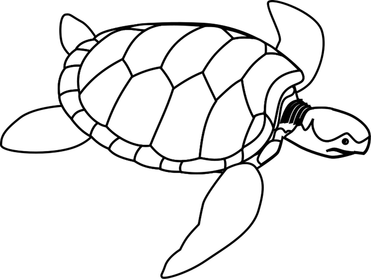 Sea Turtle Clipart | Free Download Clip Art | Free Clip Art | on ...