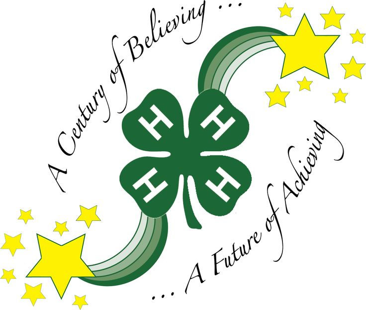 4-h Steer Girl Clipart