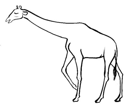 How to draw a Giraffe