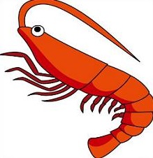 Free Shrimp Clipart