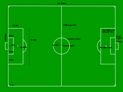 Sextape Nicki Minaj: Measurements Of A Football Pitch