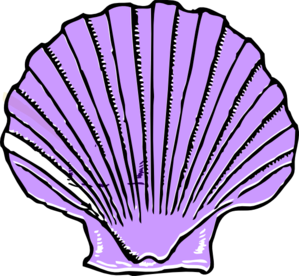 Purple Shell Clip Art - vector clip art online ...