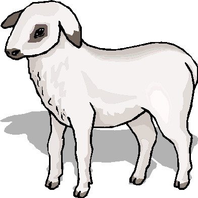 Lamb Clipart - Free Clipart Images