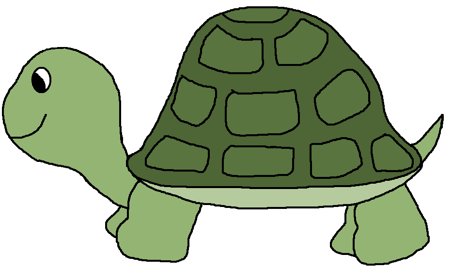 Transparent turtle clipart