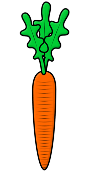 Cartoon Carrot Step by Step Drawing Lesson