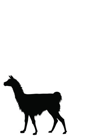 Silhouette Of A Llamas Clip Art, Vector Images & Illustrations ...