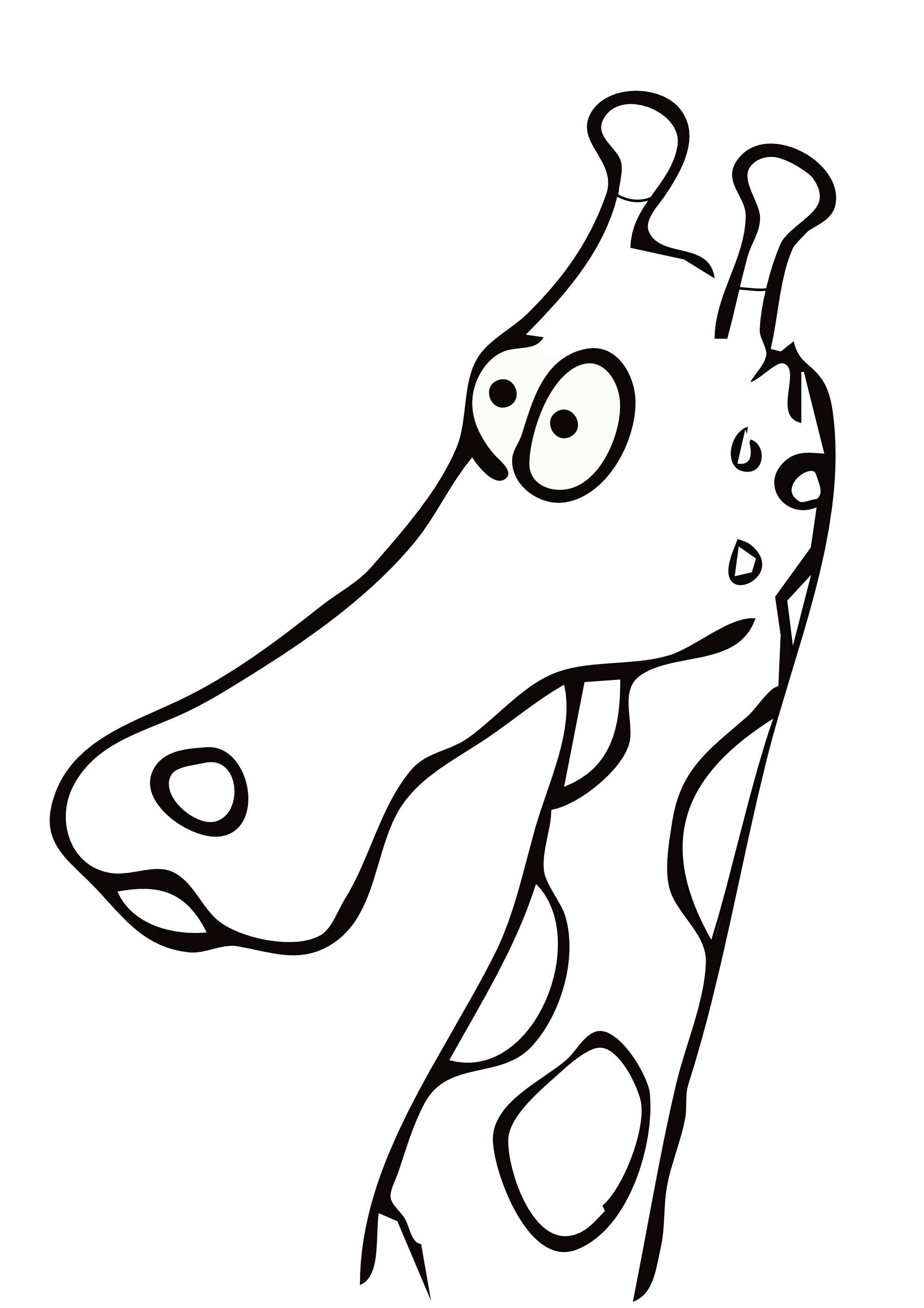 Giraffe clipart black and white art