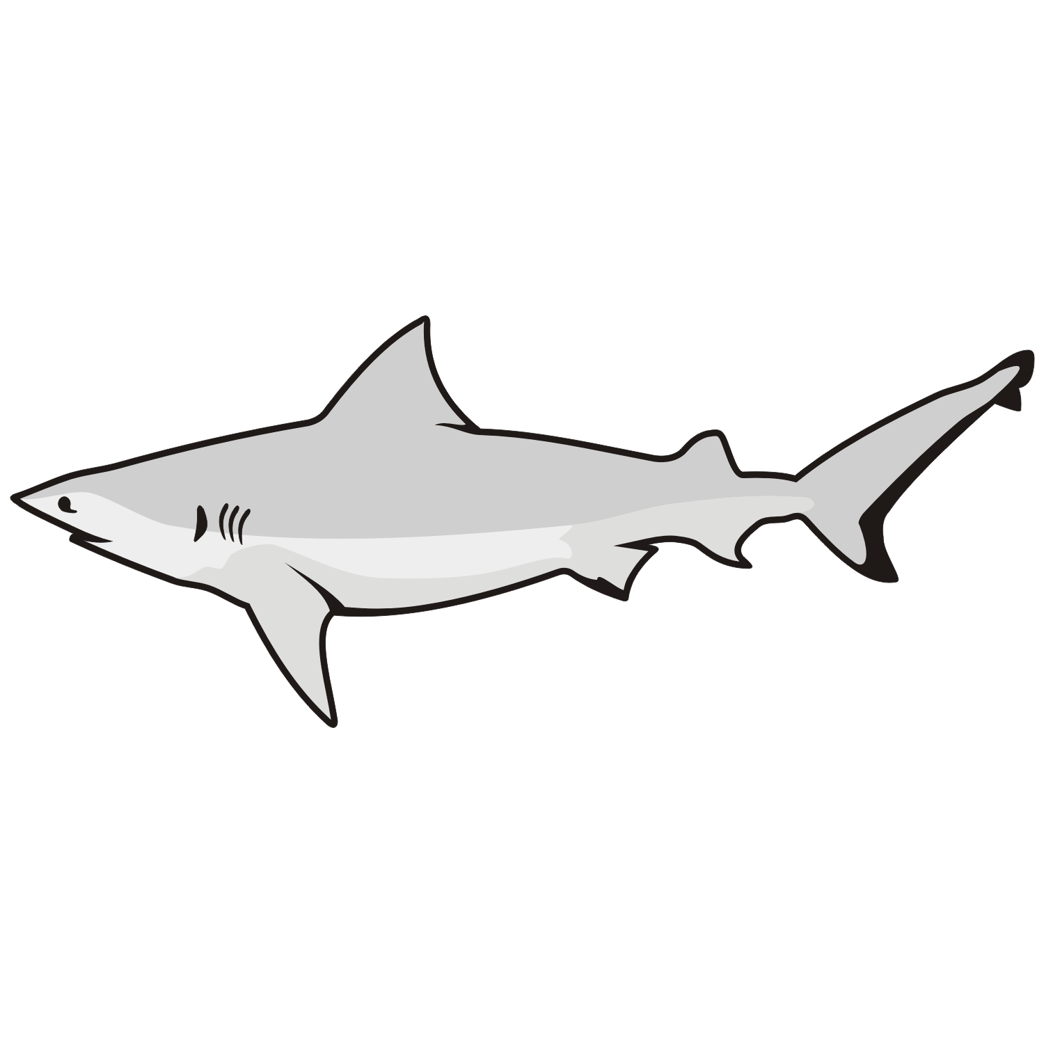 Vector for free use: Great white shark