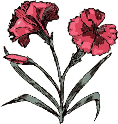 Carnation Flower clip art Vector clip art - Free vector for free ...