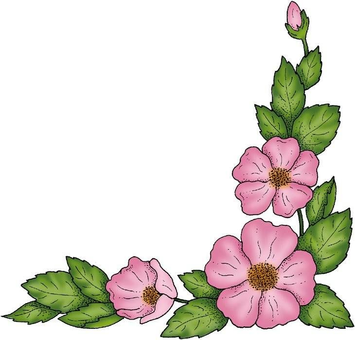Flower Graphic | Botanical Flowers ...