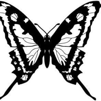 Butterfly Silhouette Free Vector | 123Freevectors