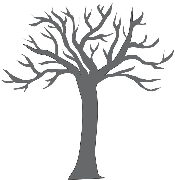 Good Drawing Pics Tree Branch Tree Template For Kids Free ClipArt Best ClipArt Best