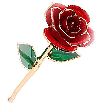 Amazon.com: Mr.Pro Brand Authentic Long Stem Rose Dipped in 24K ...