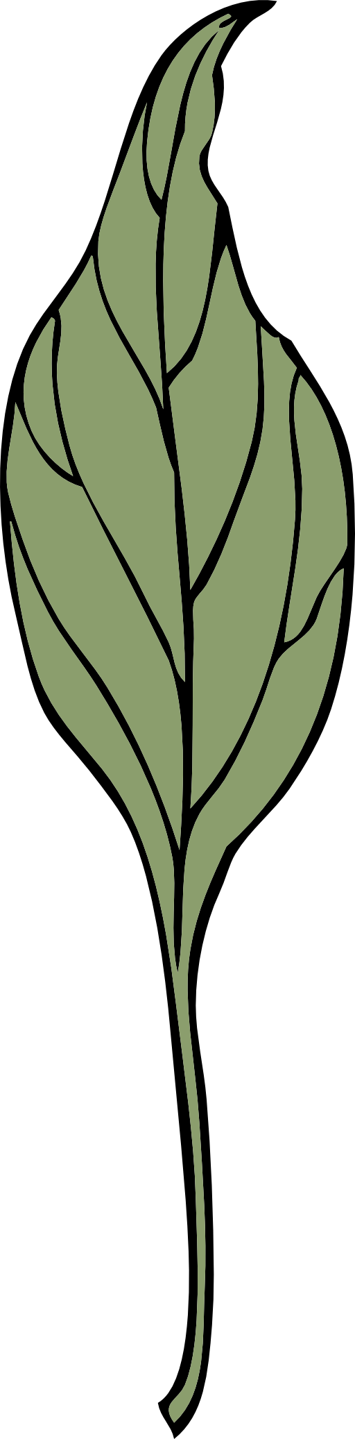 Aka Ivy Clipart