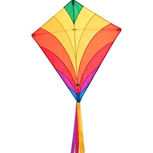 Hq Kites Eddy Funny Frog Diamond Kite By Hq Kites And Designs ...