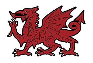 WELSH DRAGON STICKER LARGE 24x16cms - FREE UK POSTAGE: Amazon.co ...