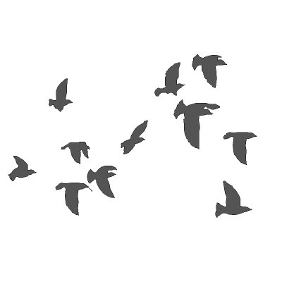 46+ Flock of Birds Flying Clipart