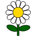 clipart-daisy-6a62.png