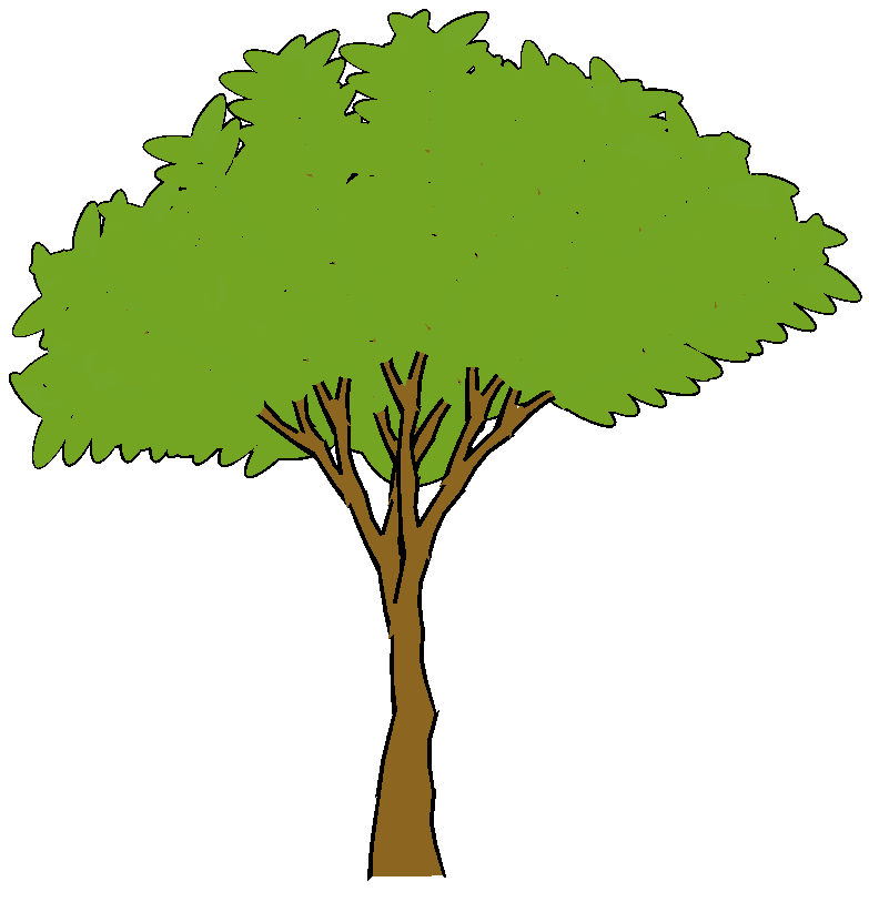 animated-tree-leaves-clipart-best