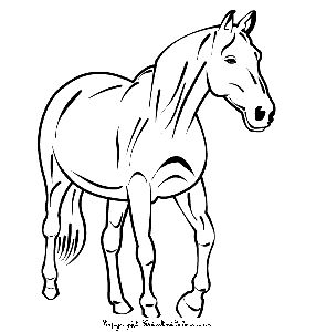 Horse Coloring Page - ClipArt Best